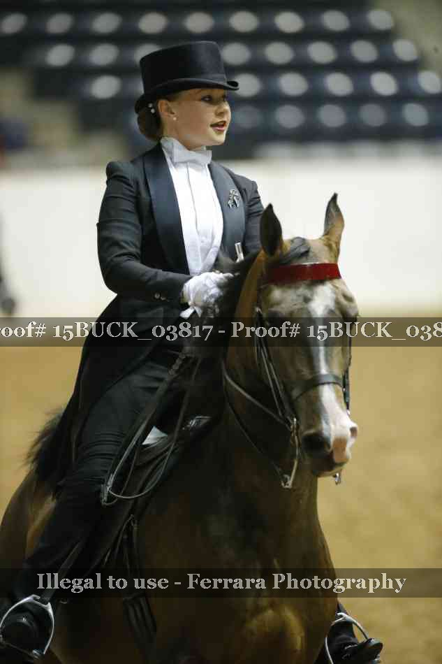 Proof 15BUCK_03817
