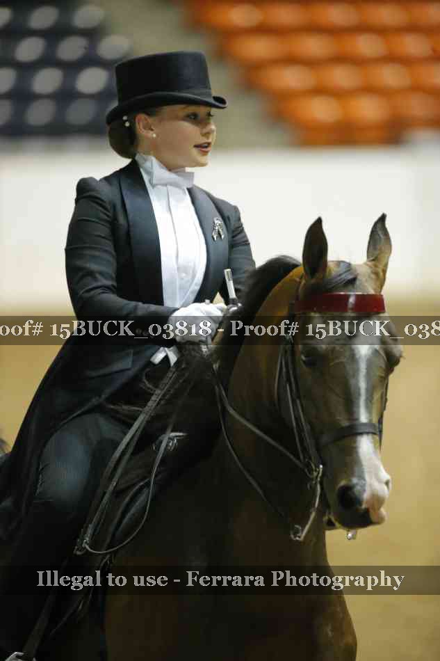 Proof 15BUCK_03818