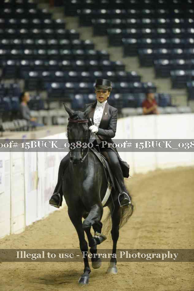 Proof 15BUCK_03820