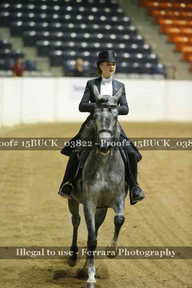 Proof 15BUCK_03822