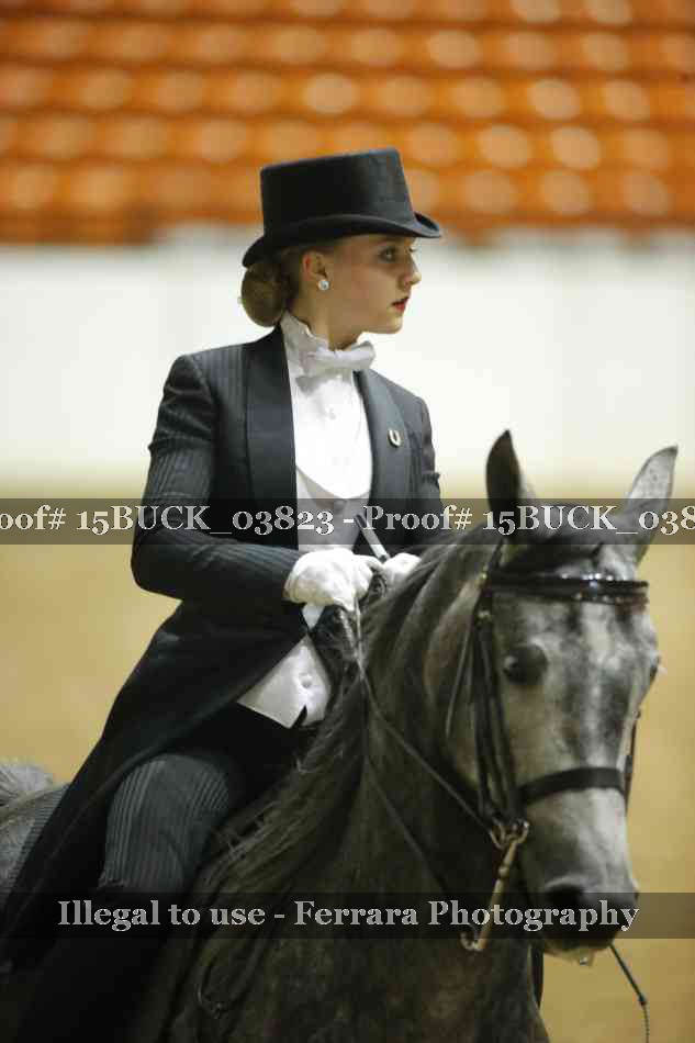 Proof 15BUCK_03823