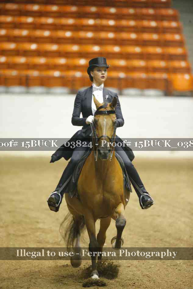 Proof 15BUCK_03824