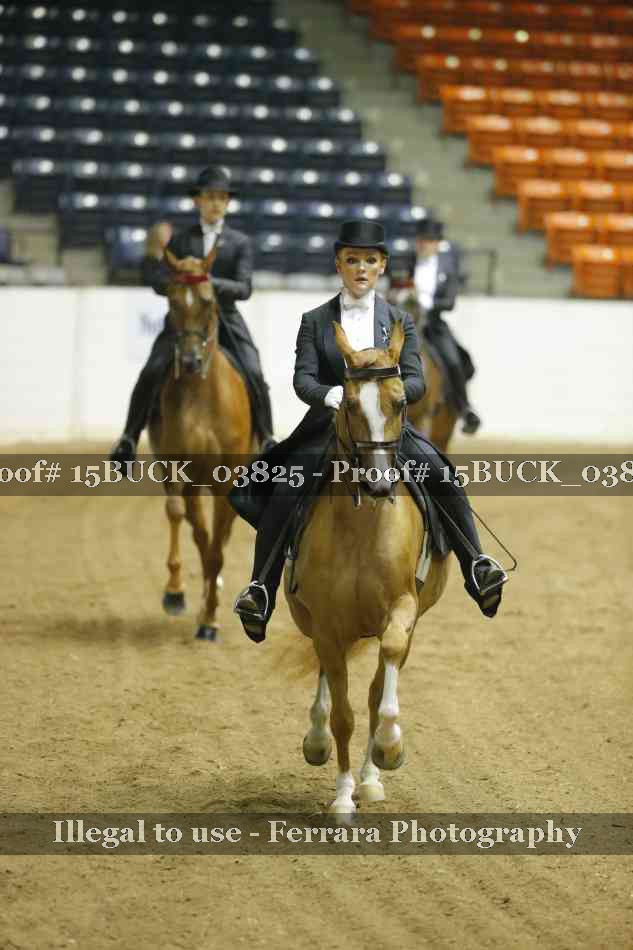 Proof 15BUCK_03825