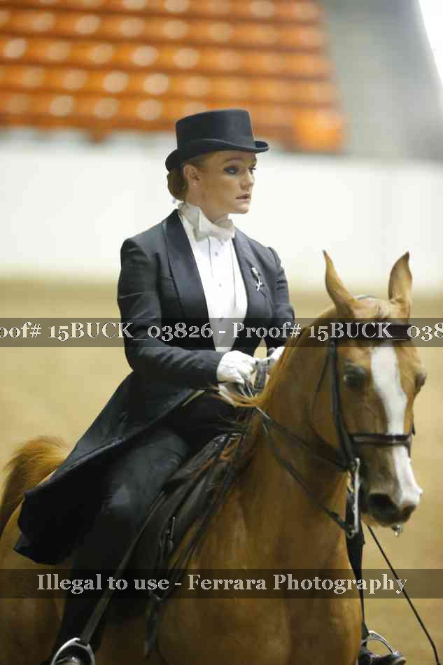 Proof 15BUCK_03826