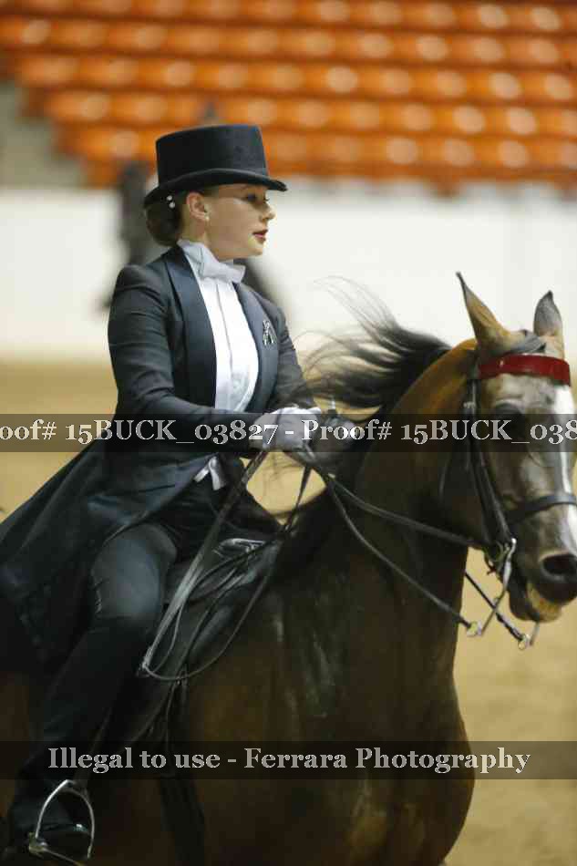 Proof 15BUCK_03827