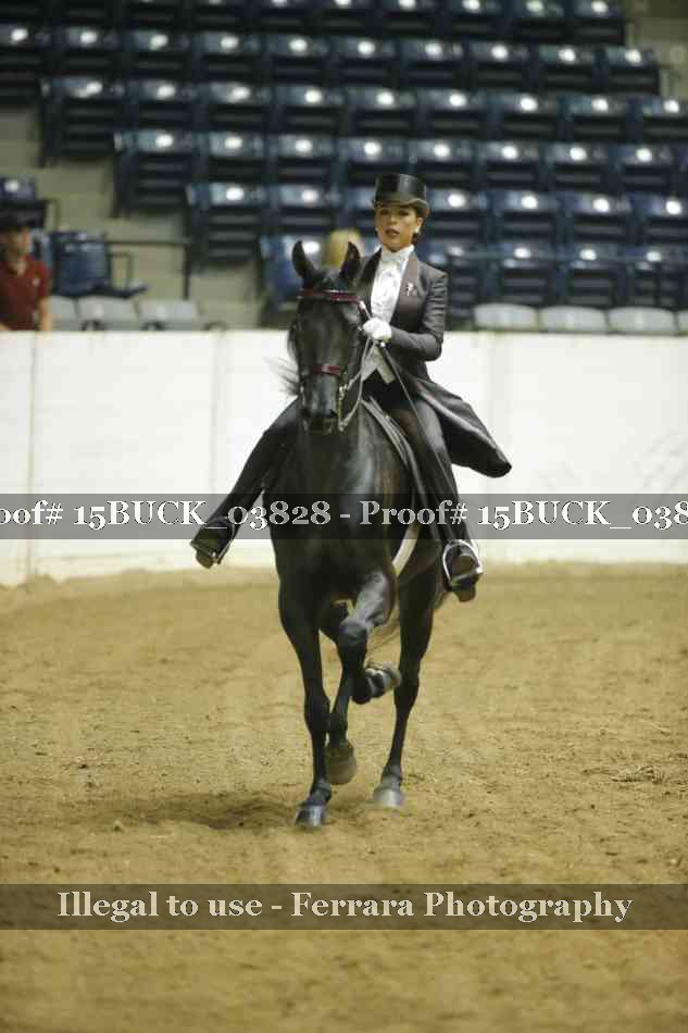 Proof 15BUCK_03828