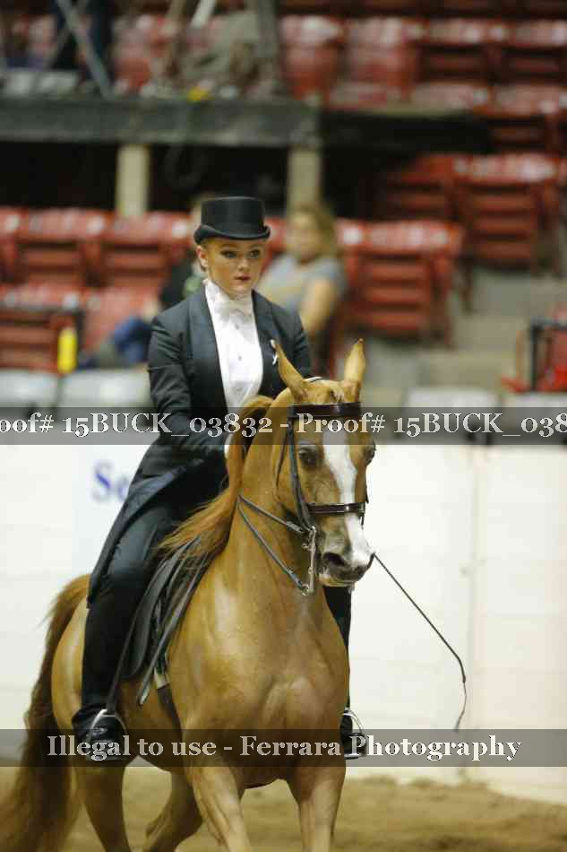 Proof 15BUCK_03832