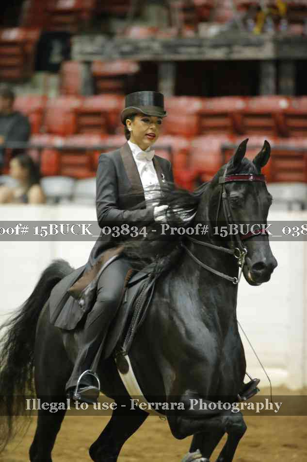 Proof 15BUCK_03834