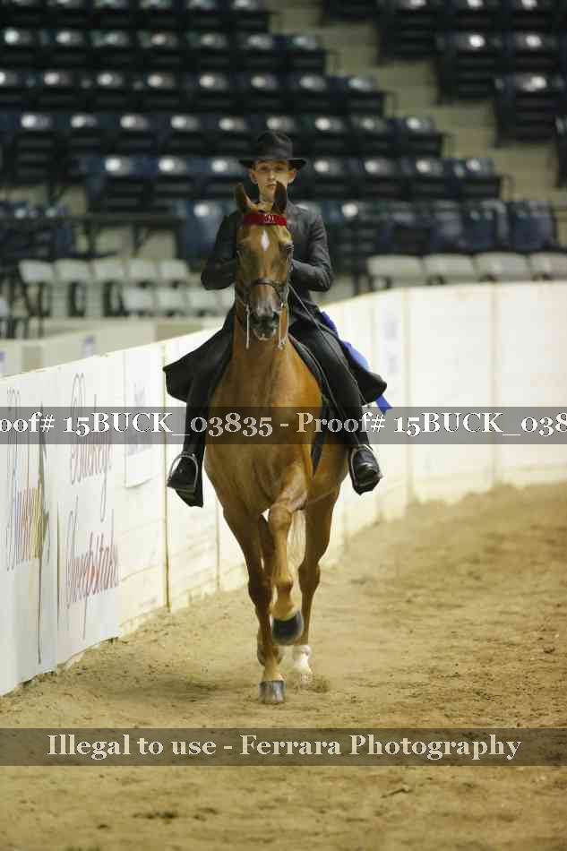 Proof 15BUCK_03835