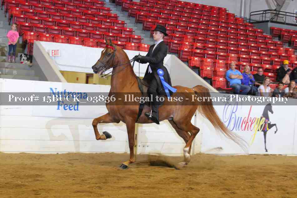 Proof 15BUCK_03836