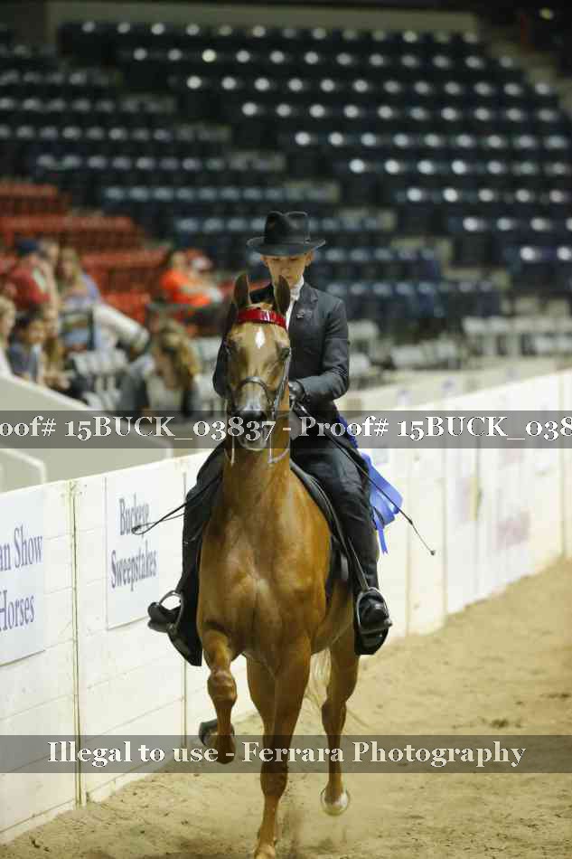 Proof 15BUCK_03837