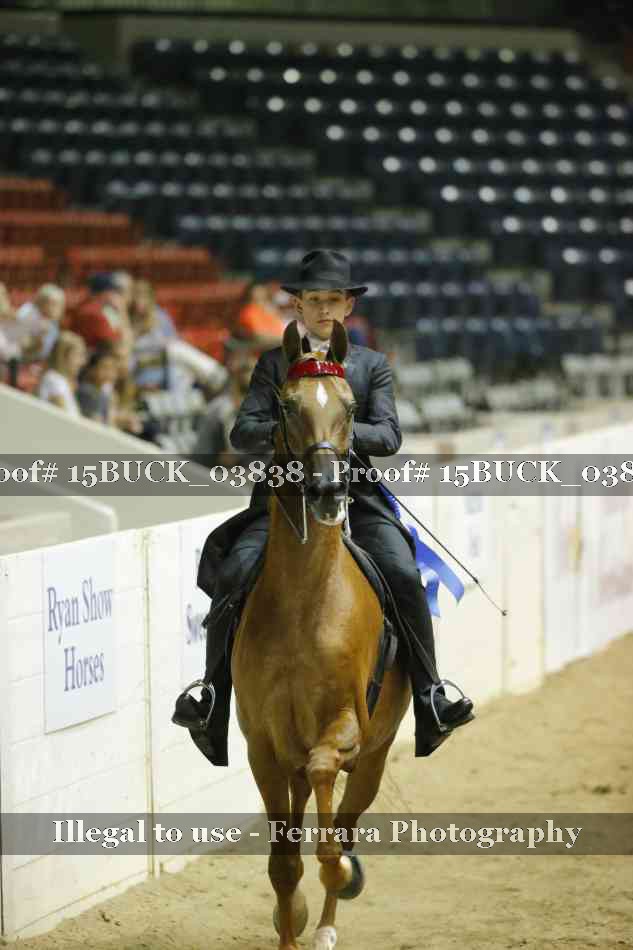 Proof 15BUCK_03838