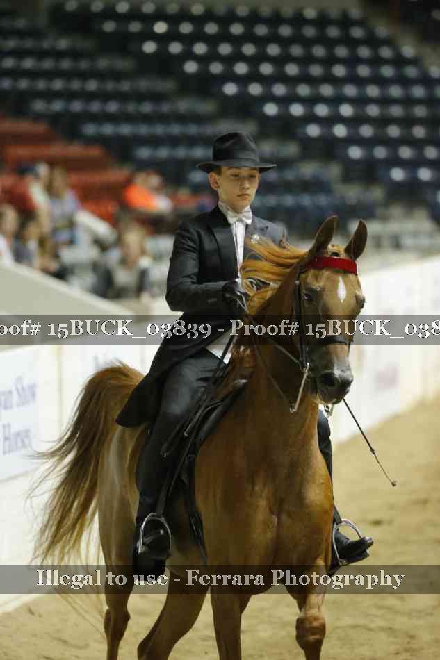 Proof 15BUCK_03839