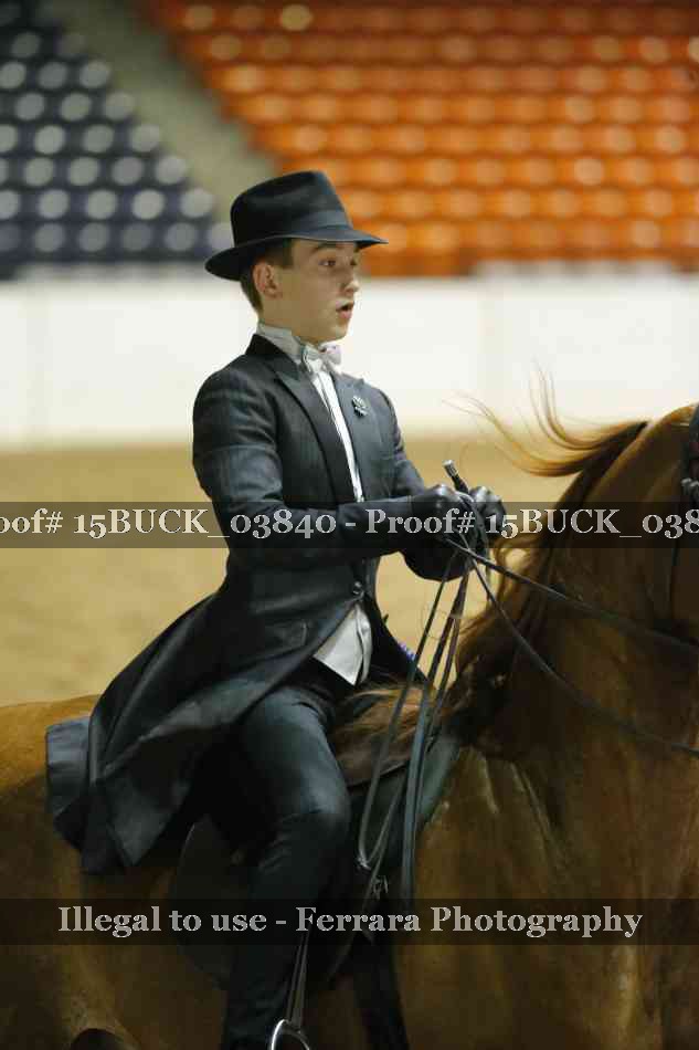 Proof 15BUCK_03840