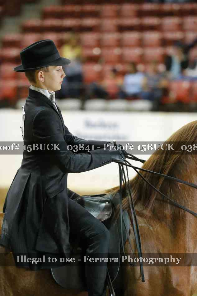 Proof 15BUCK_03841