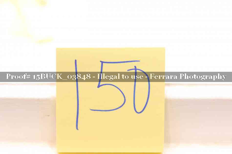 Proof 15BUCK_03848
