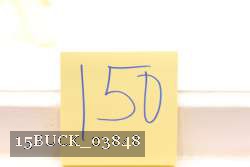 15BUCK_03848 proof