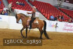 15BUCK_03850 proof