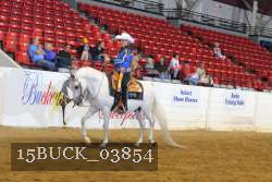 15BUCK_03854 proof