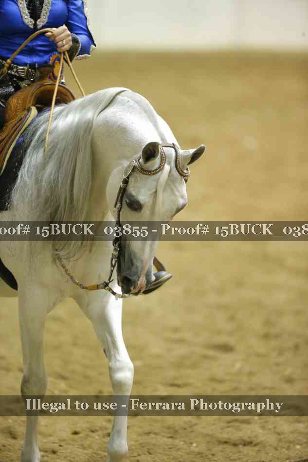 Proof 15BUCK_03855
