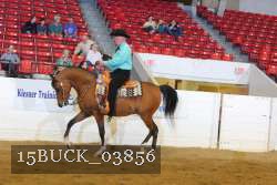 15BUCK_03856 proof