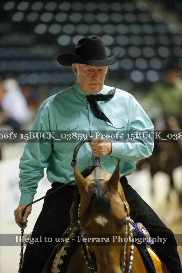 Proof 15BUCK_03859
