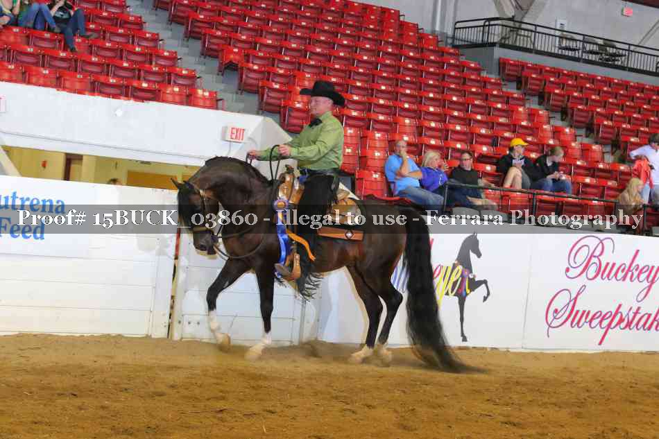 Proof 15BUCK_03860