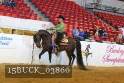 15BUCK_03860 proof