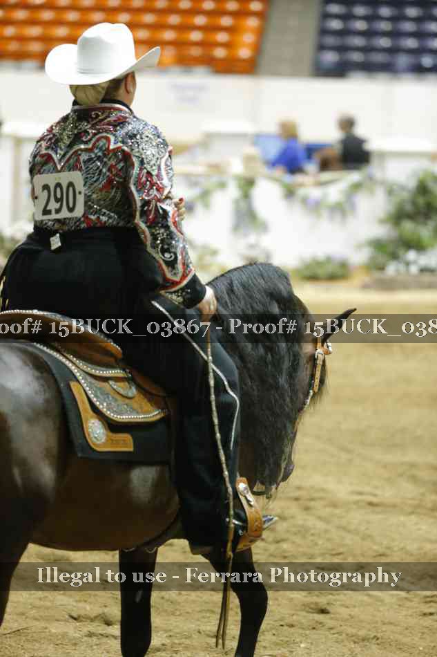 Proof 15BUCK_03867