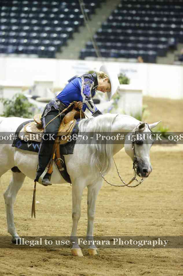 Proof 15BUCK_03870