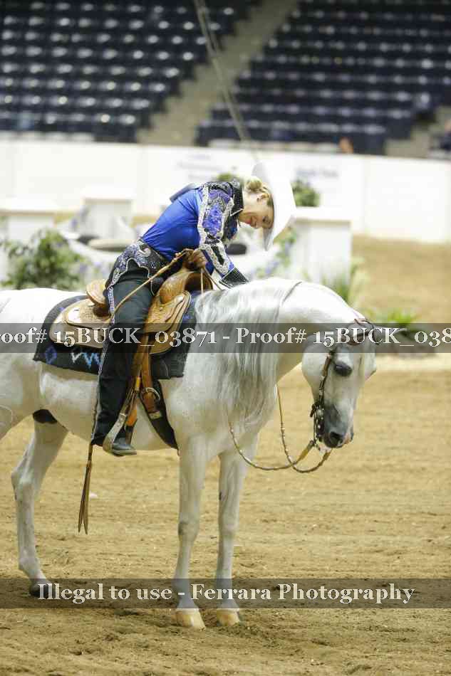 Proof 15BUCK_03871