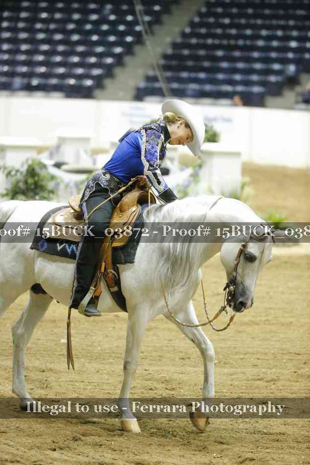 Proof 15BUCK_03872