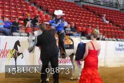 15BUCK_03873 proof