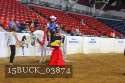 15BUCK_03874 proof