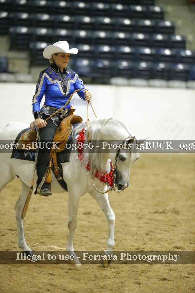 Proof 15BUCK_03876