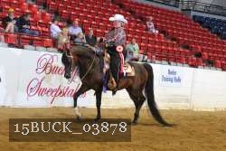 15BUCK_03878 proof