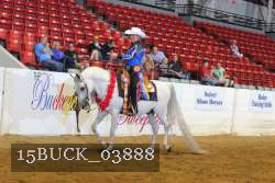 15BUCK_03888 proof