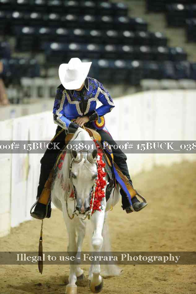 Proof 15BUCK_03891