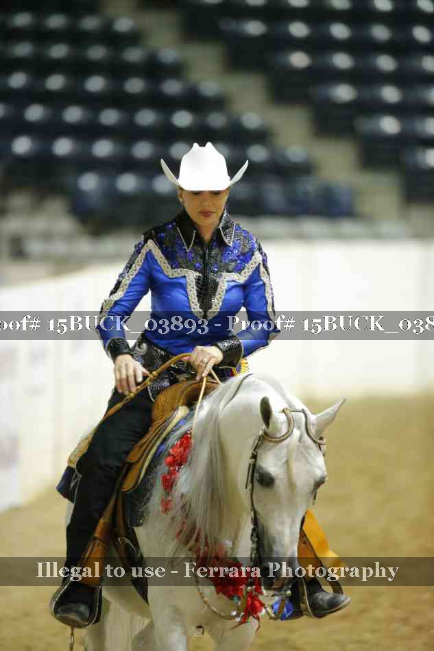 Proof 15BUCK_03893