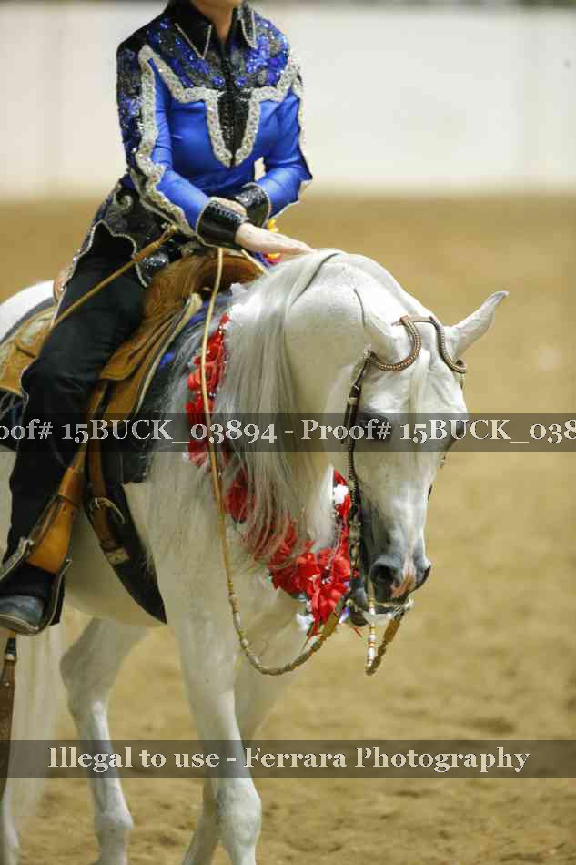 Proof 15BUCK_03894