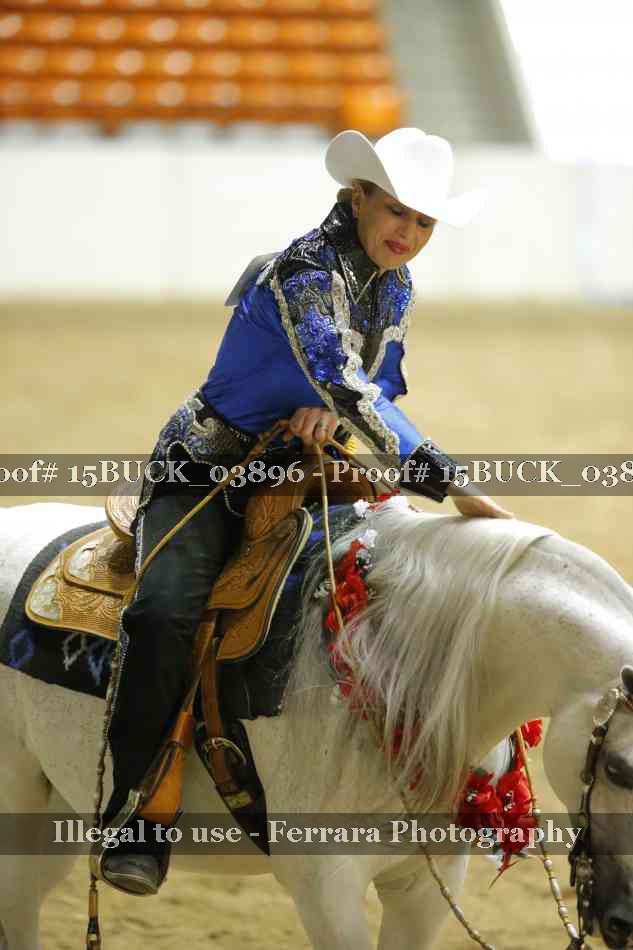 Proof 15BUCK_03896