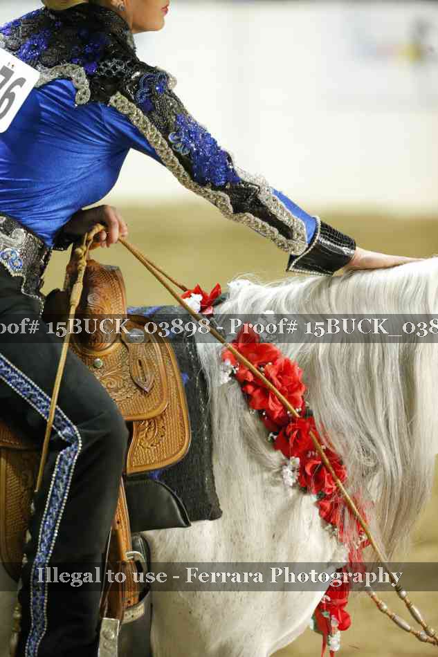 Proof 15BUCK_03898