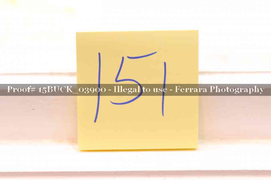 Proof 15BUCK_03900