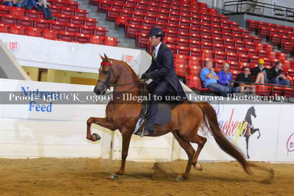 Proof 15BUCK_03901