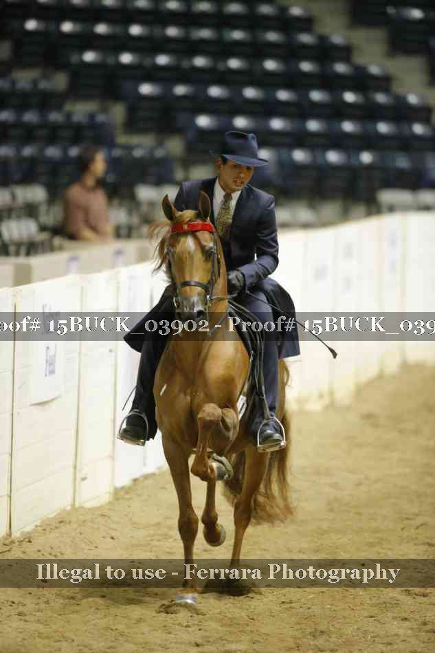 Proof 15BUCK_03902