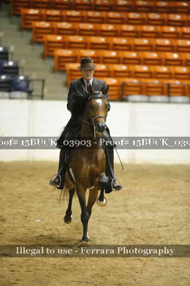 Proof 15BUCK_03903