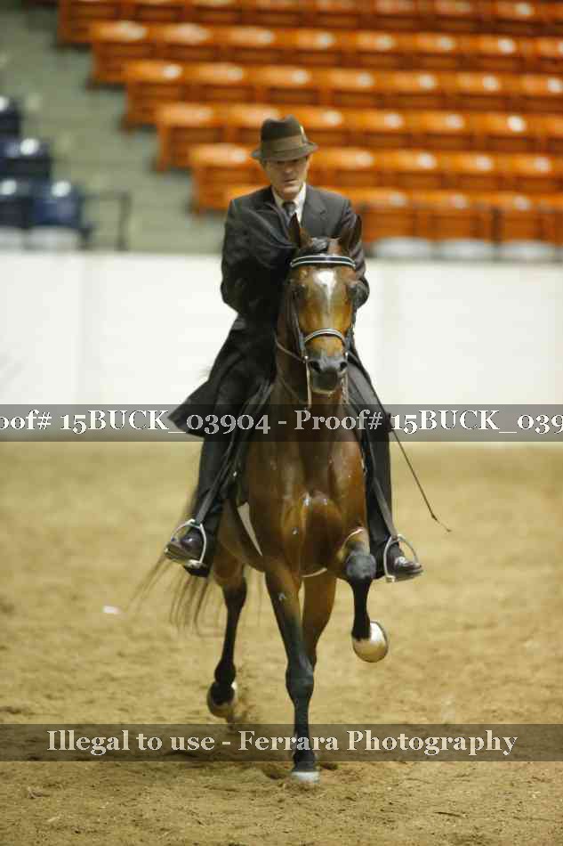 Proof 15BUCK_03904
