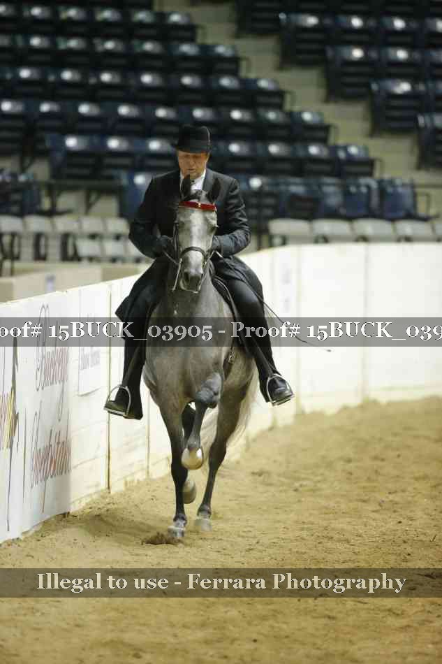 Proof 15BUCK_03905