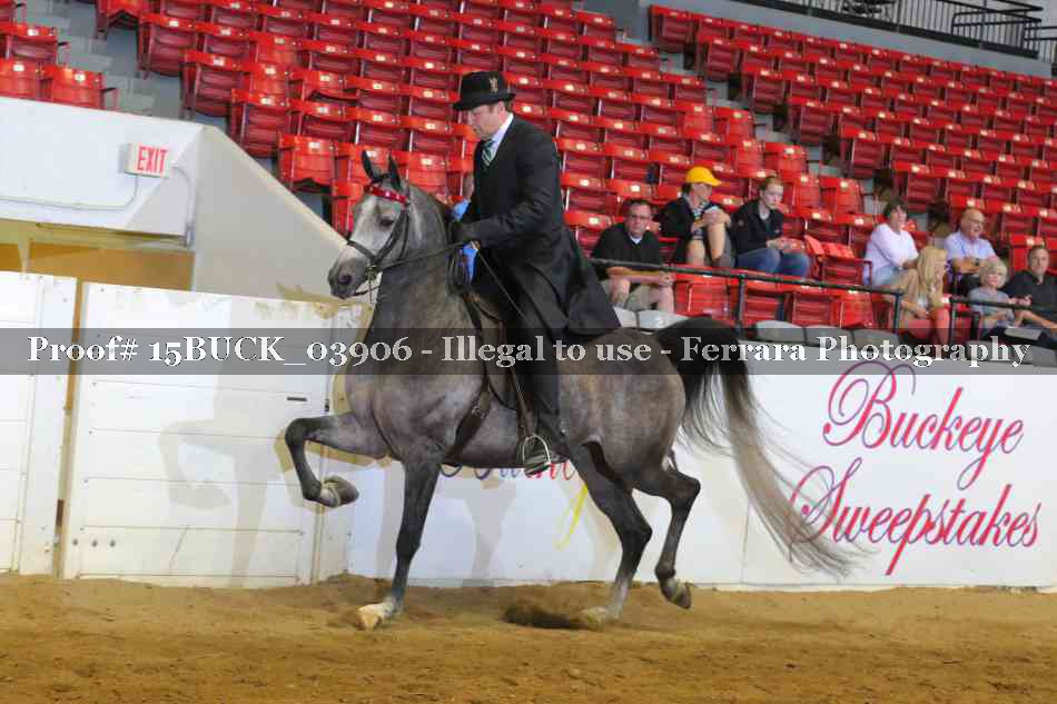 Proof 15BUCK_03906