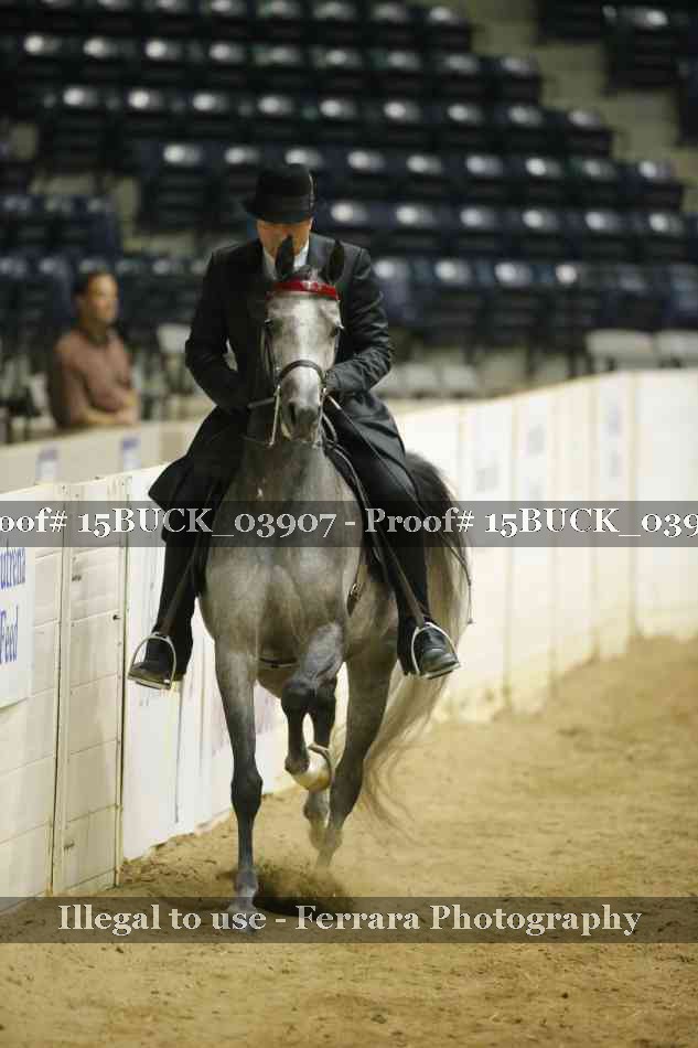 Proof 15BUCK_03907